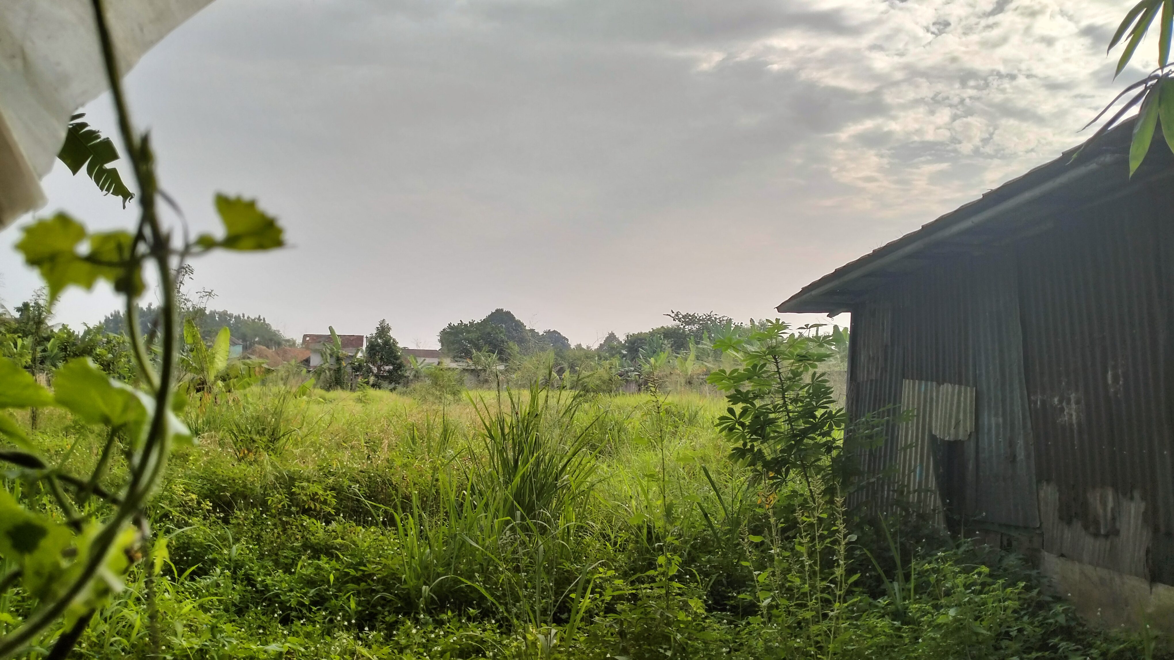 DIJUAL KAVLING 4.100 METER PERSEGI JL. RAYA CIFOR BOGOR BARAT - Foto 4