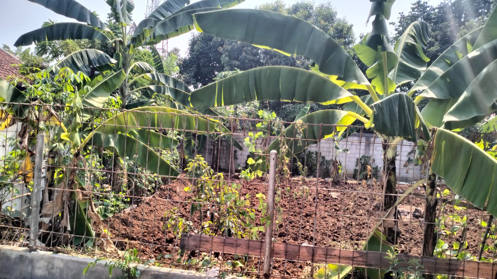 DIJUAL KAVLING 250 METER PERSEGI JL. SEDAP MALAM III CURUGMEKAR BOGOR BARAT - Foto 2