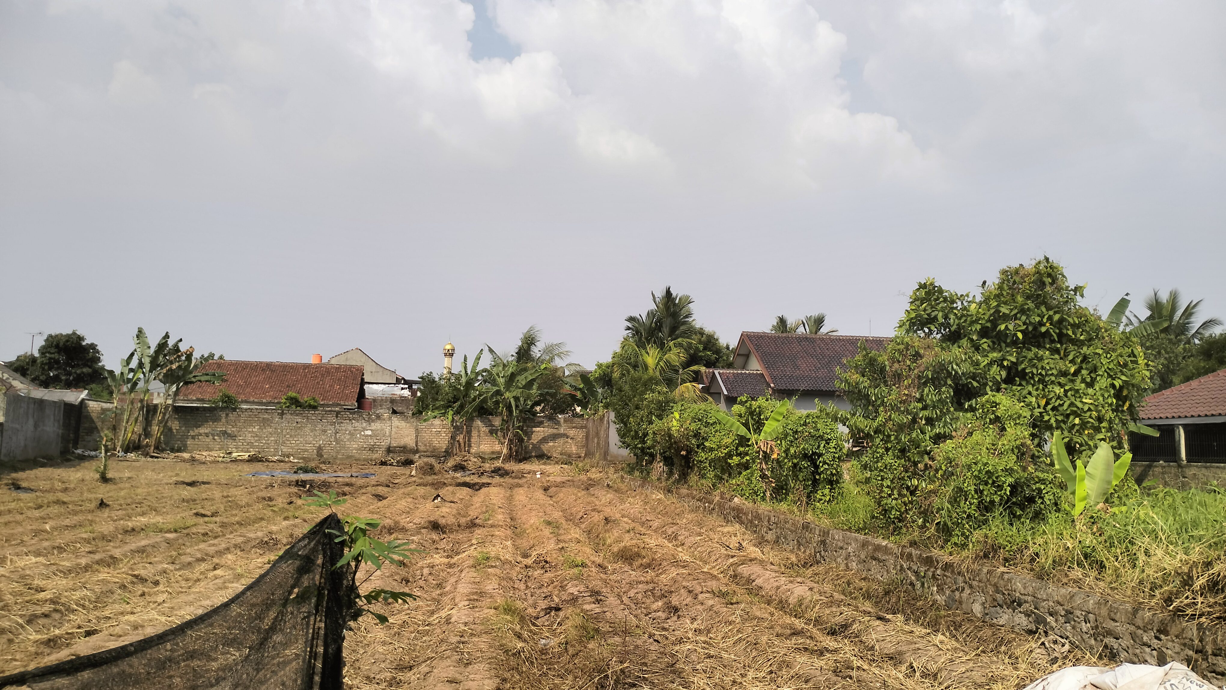 KAVLING 1.250 METER PERSEGI - DIJUAL - JL. BOUGENVILLE CIOMAS RAHAYU CIOMAS BOGOR - Foto 5