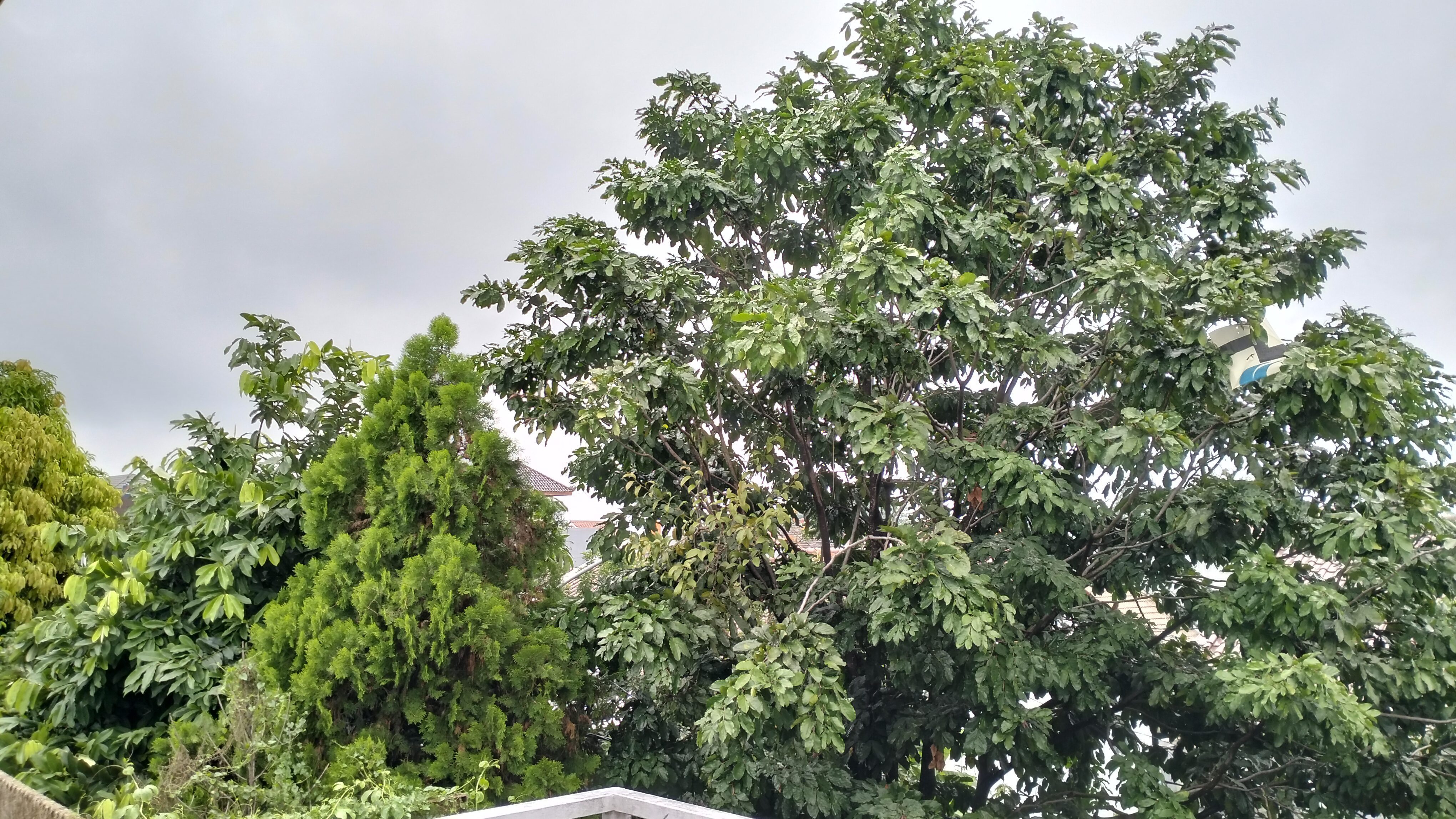 RUMAH DIJUAL 120-90 JL. EMERALD RAYA VILLA TAJUR SINDANGRASA BOGOR TIMUR - Foto 6