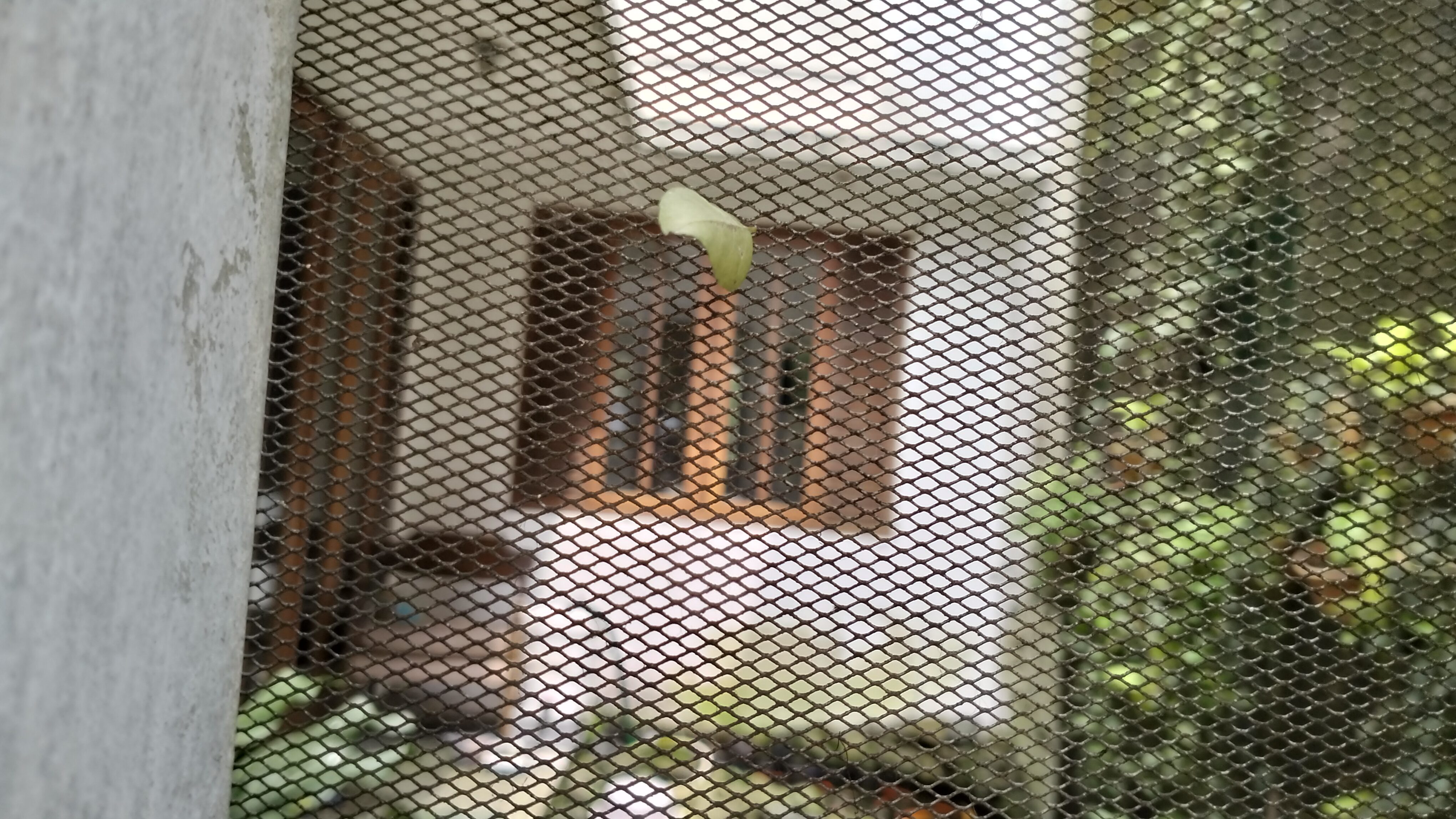 DIJUAL RUMAH DUA LANTAI 254-190 KOMPLEK IPB BARANANGSIANG 3 TEGALLEGA BOGOR - Foto 5