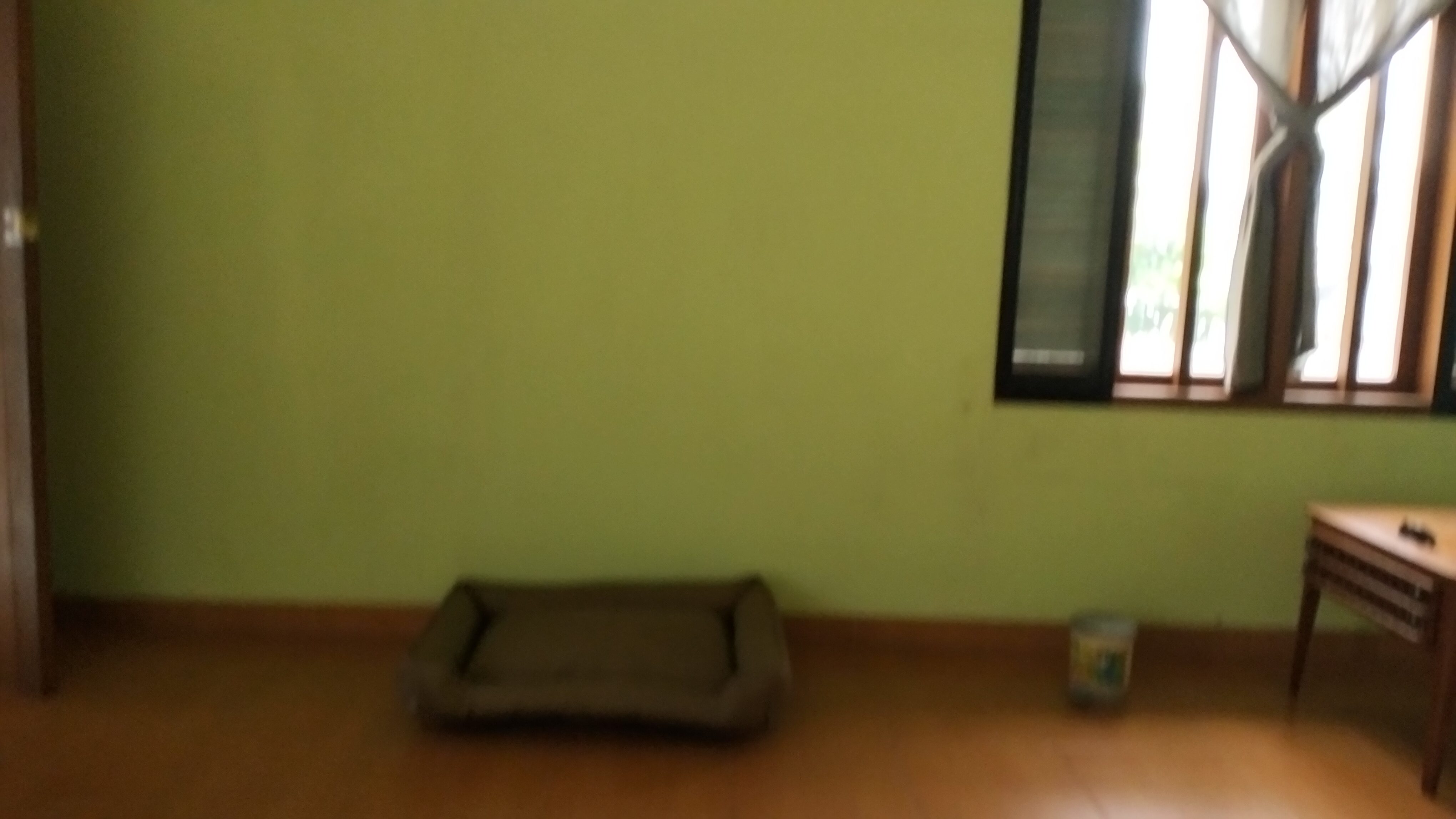 DIJUAL RUMAH DUA LANTAI 254-190 KOMPLEK IPB BARANANGSIANG 3 TEGALLEGA BOGOR - Foto 13