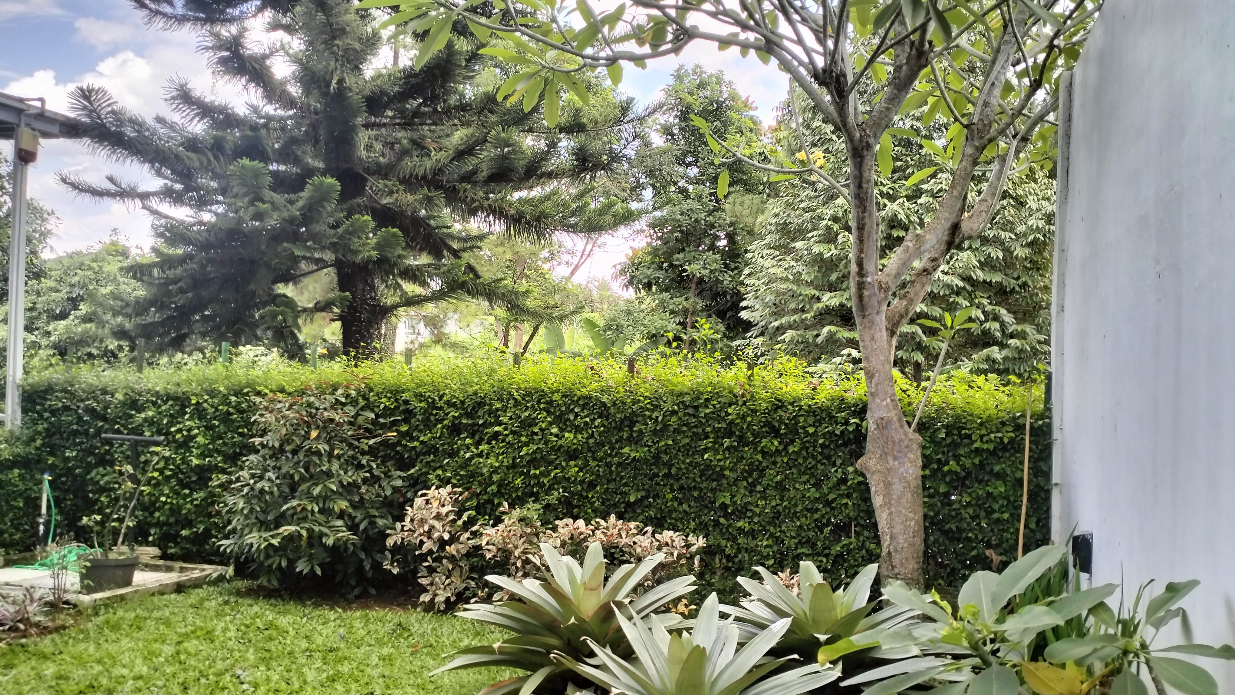 RUMAH DIJUAL KWALITAS EROPA CLUSTER ASTER GOLF DANAU BOGOR RAYA KABUPATEN BOGOR - Foto 24