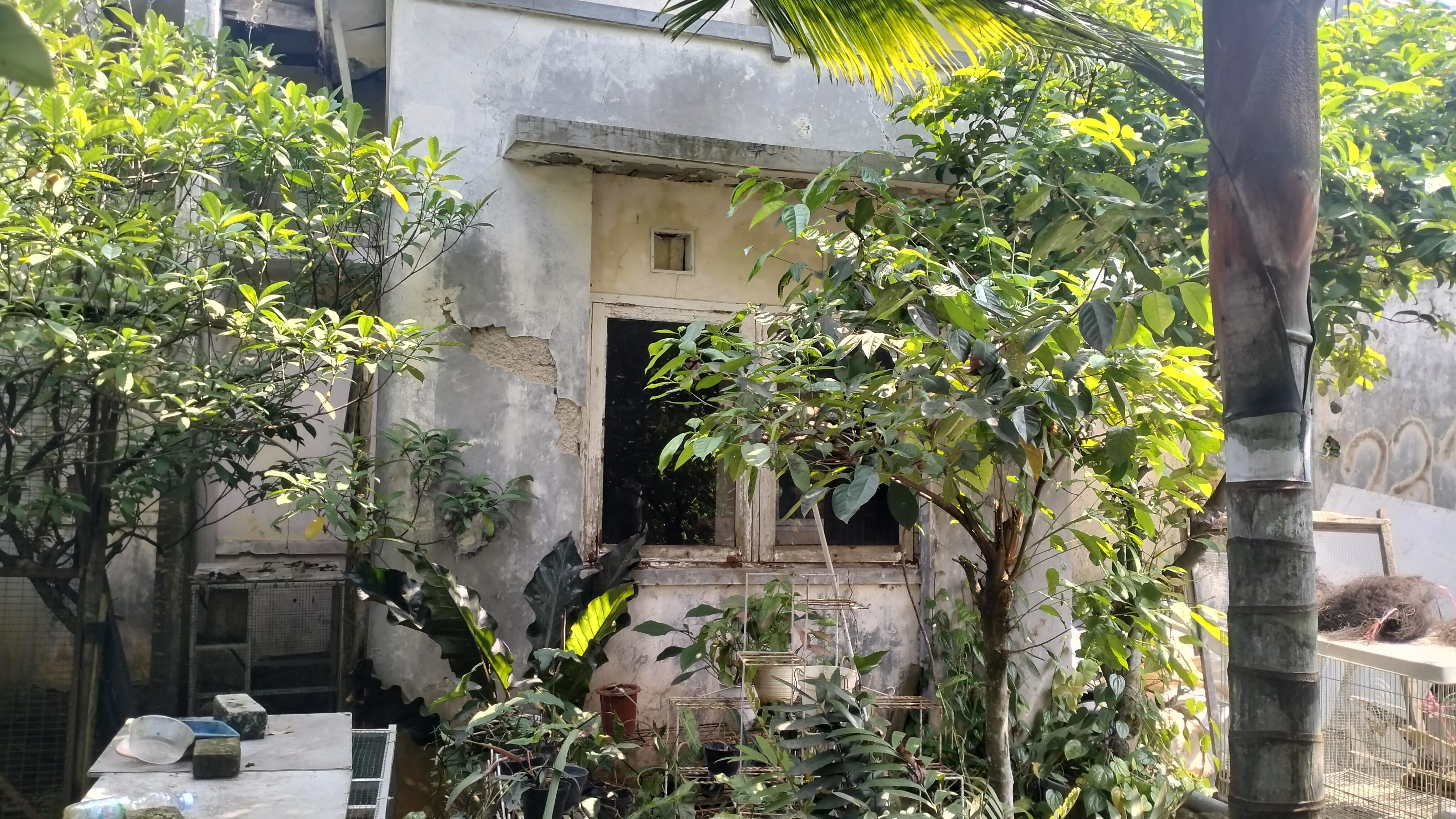 DIJUAL RUMAH 87-36 PERUMAHAN TALAGA KAHURIPAN KABUPATEN BOGOR - Foto 4