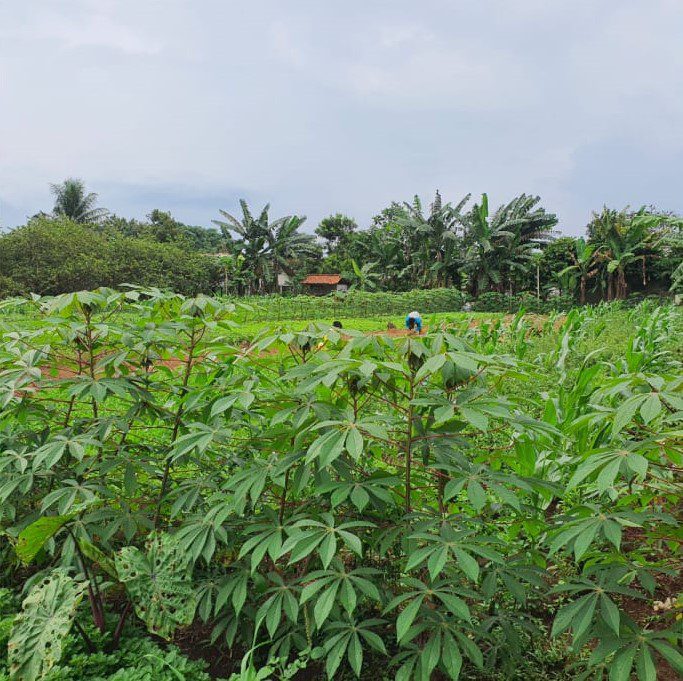 Dijual TANAH - Foto 5