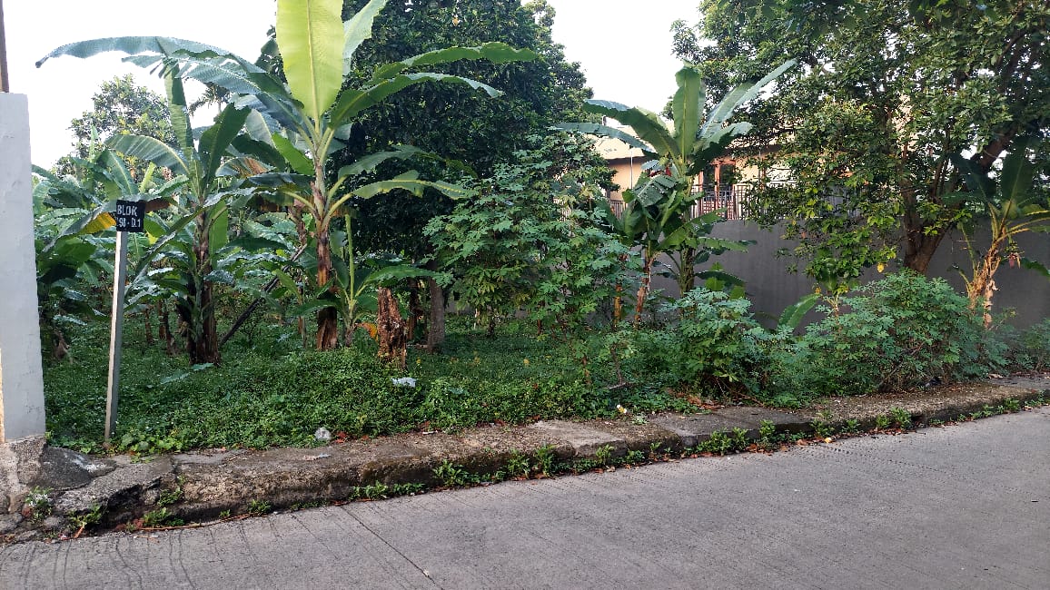 DIJUAL KAVLING 369 METER PERSEGI KOMPLEKS KEHUTANAN SELAKOPI PASIRMULYA BOGOR BARAT - Foto 4