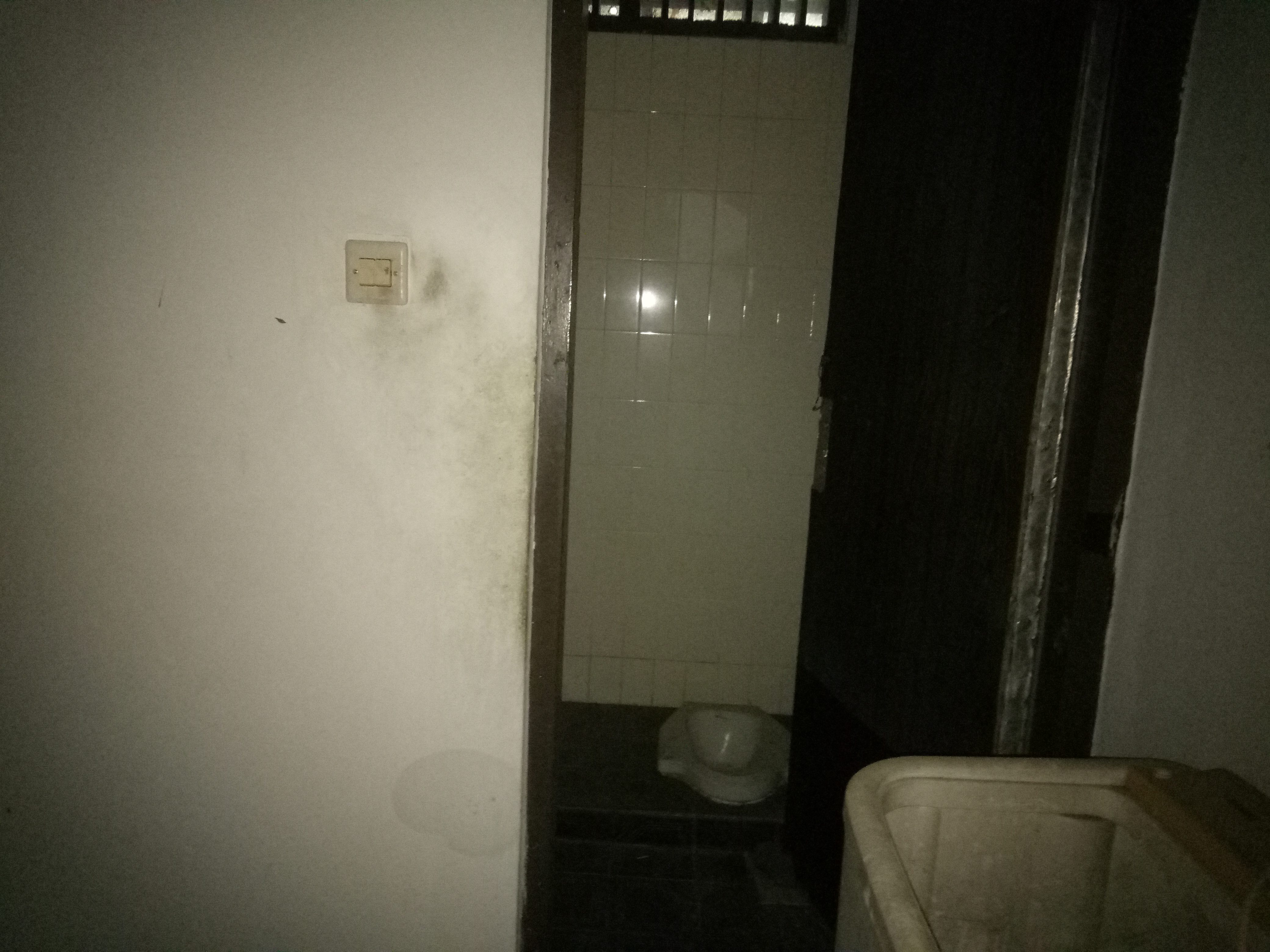DIJUAL RUMAH 174-56 PERLU RENOVASI BSI BOGOR TIMUR - Foto 11