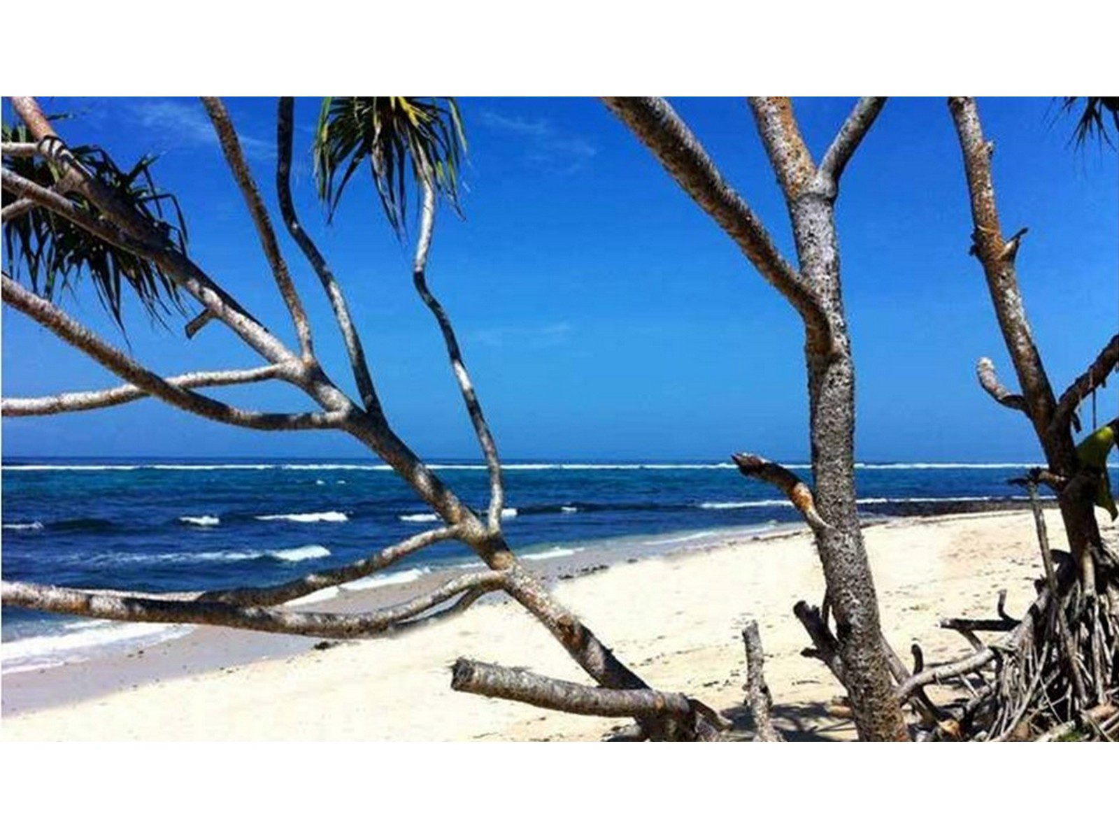 Unmatched Freehold Beachfront Land with over 3,500m Frontage in Sumbawa - Foto 6