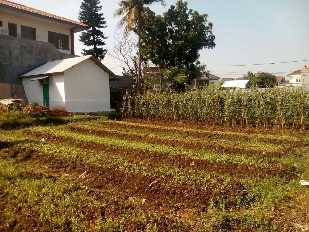 Jual Kavling Tanah di Kavling Hankam Joglo Kembangan Jakarta Barat (DI)