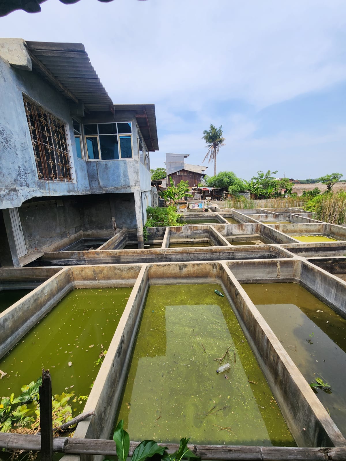 Jual Cepat Kavling Tanah di Cengkareng Jakarta Barat (RR) - Foto 2