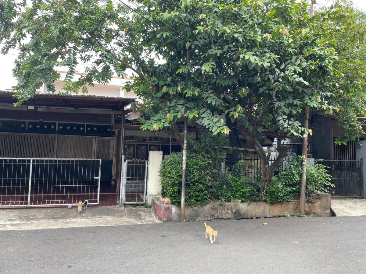 Jual Cepat Rumah Kos di daerah Slipi Jakata Barat - Foto 6