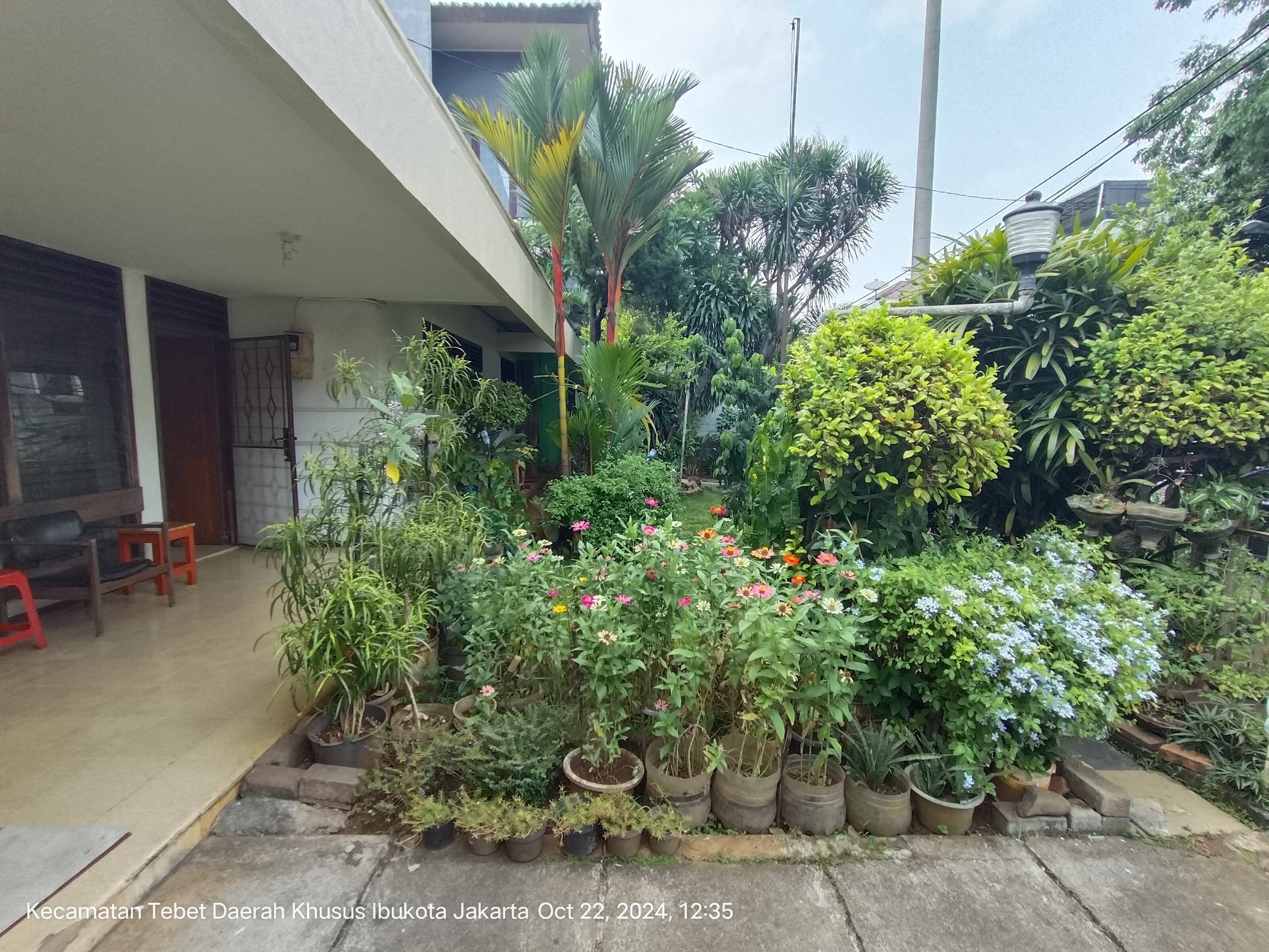 Jual Rumah Bagus di Tebet Jakarta Selatan (AF) - Foto 4