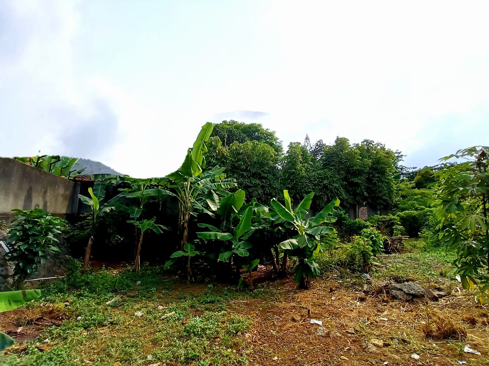 Dijual Kavling Tanah di Zona Komersial Jl. Panjang Arteri Kebon Jeruk Jakarta Barat (GN)