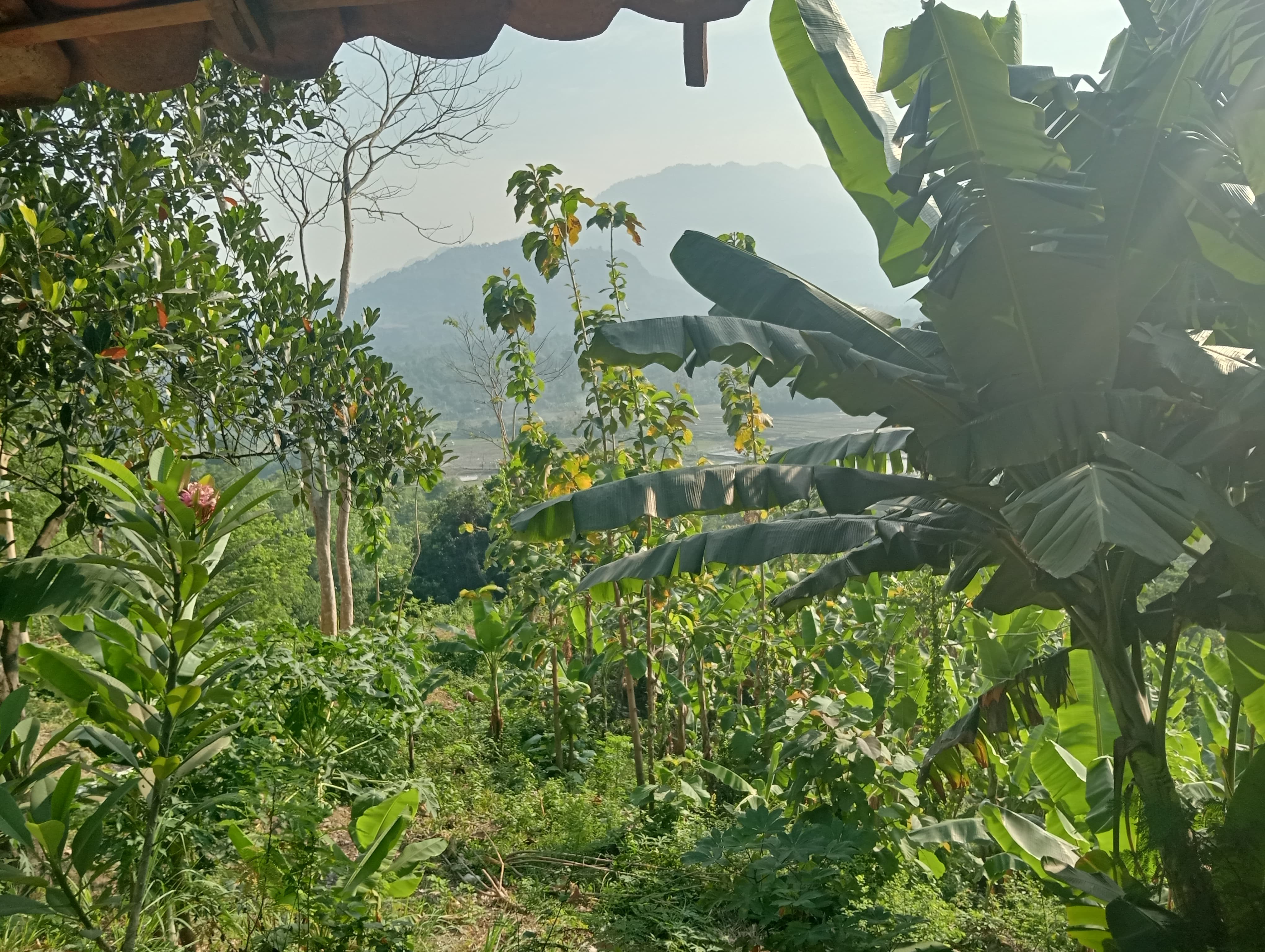 Jual Kavling Tanah cocok untuk Resort/Villa/Komersil di Jonggol Bogor Jawa Barat (GN)