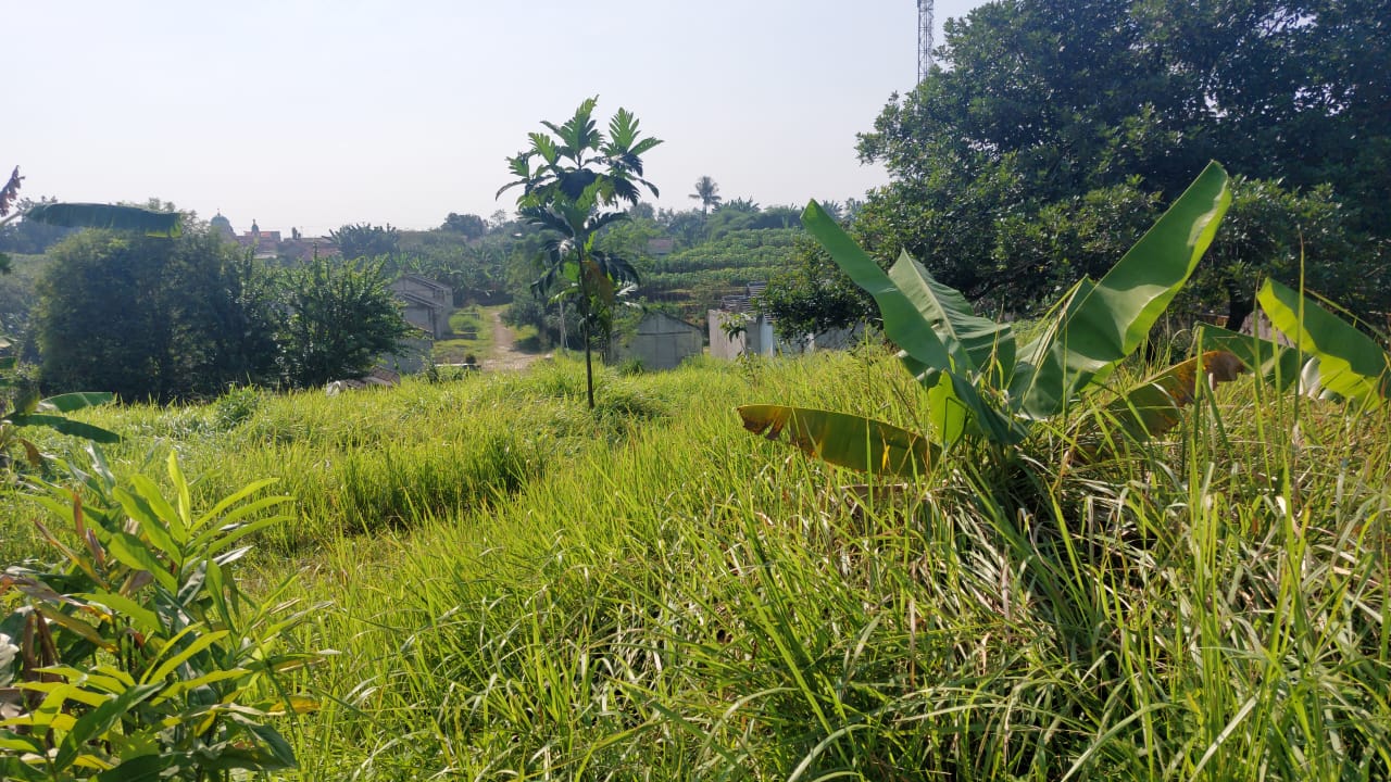 Dijual Tanah Strategis di Sumur Wangi Kayu Manis – Siap Bangun, Harga Terbaik - Foto 2