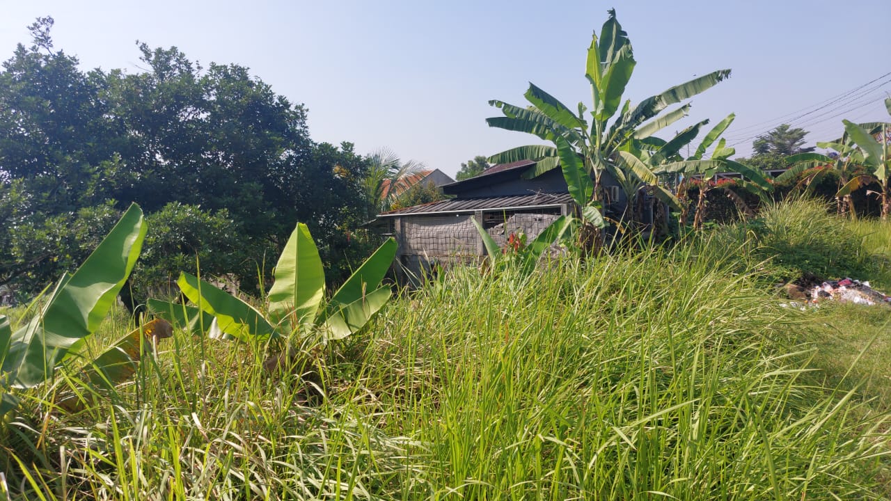 Dijual Tanah Strategis di Sumur Wangi Kayu Manis – Siap Bangun, Harga Terbaik - Foto 5