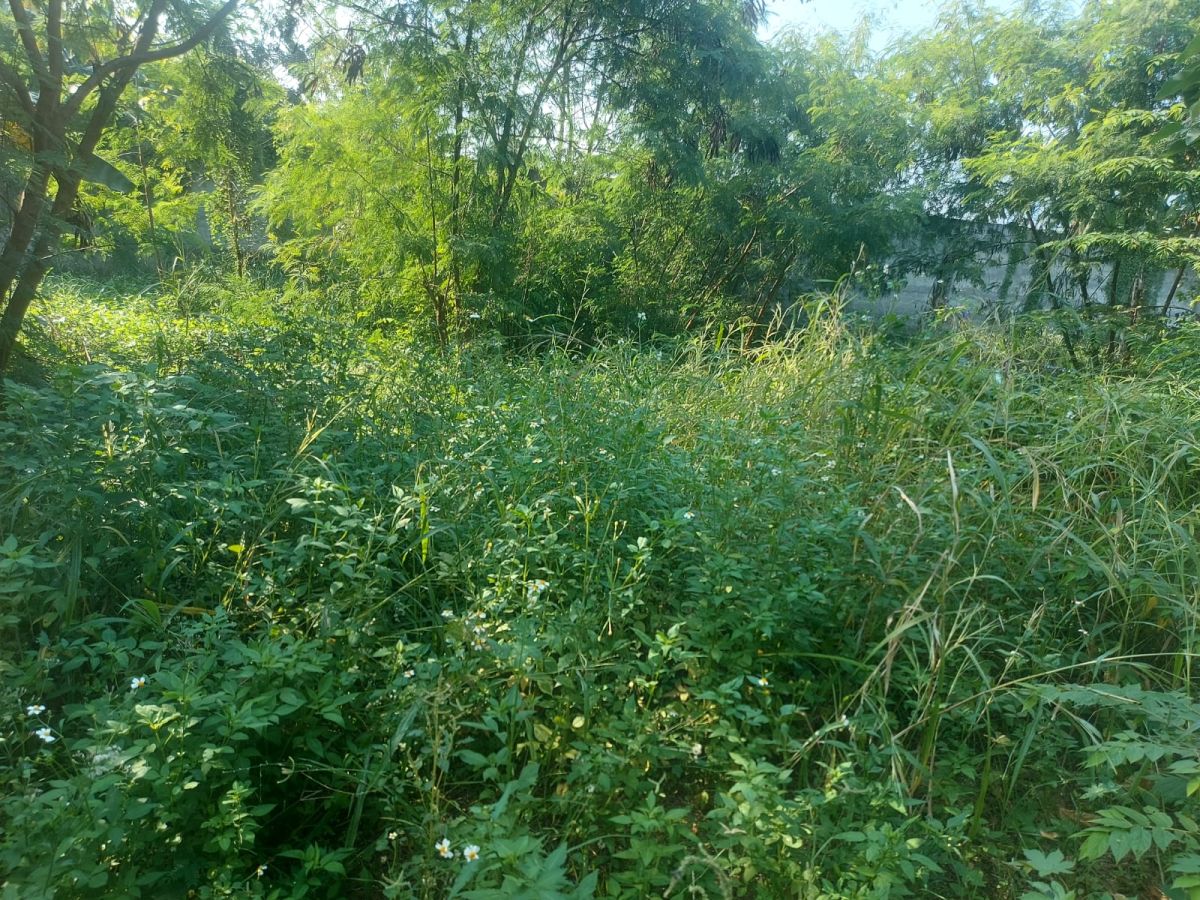 Sewa Tanah lokasi komersil, cocok untuk kantor, tempat usaha di Jakarta Barat (GN)