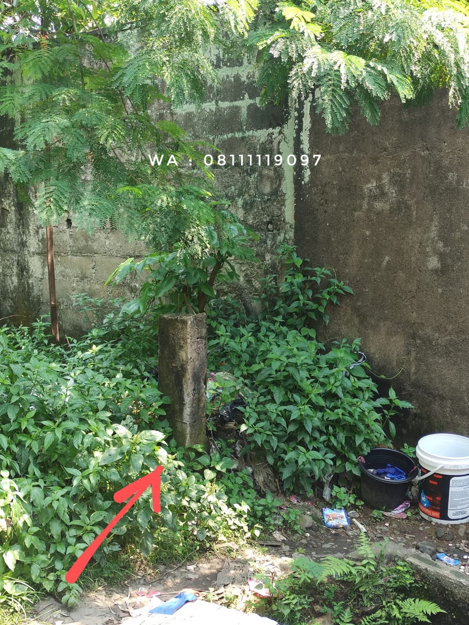 Dijual Tanah Strategis di Jl. Pilar I – Sebelah Kantor KADIN, Cocok untuk Usaha atau Investasi - Foto 3