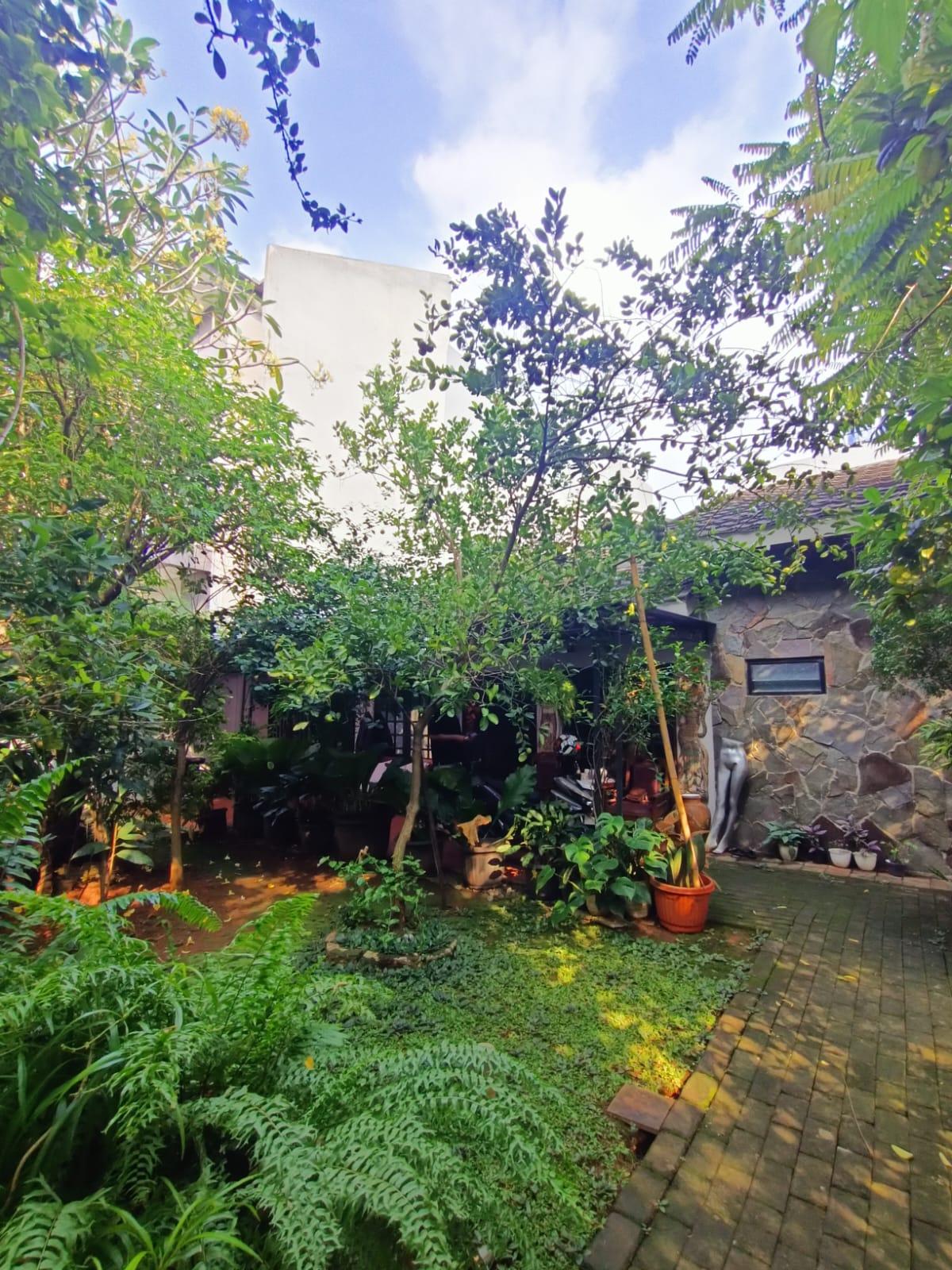 Jual Rumah Asri di Kawasan Strategis Patal Senayan Jakarta Selatan (BM) - Foto 3