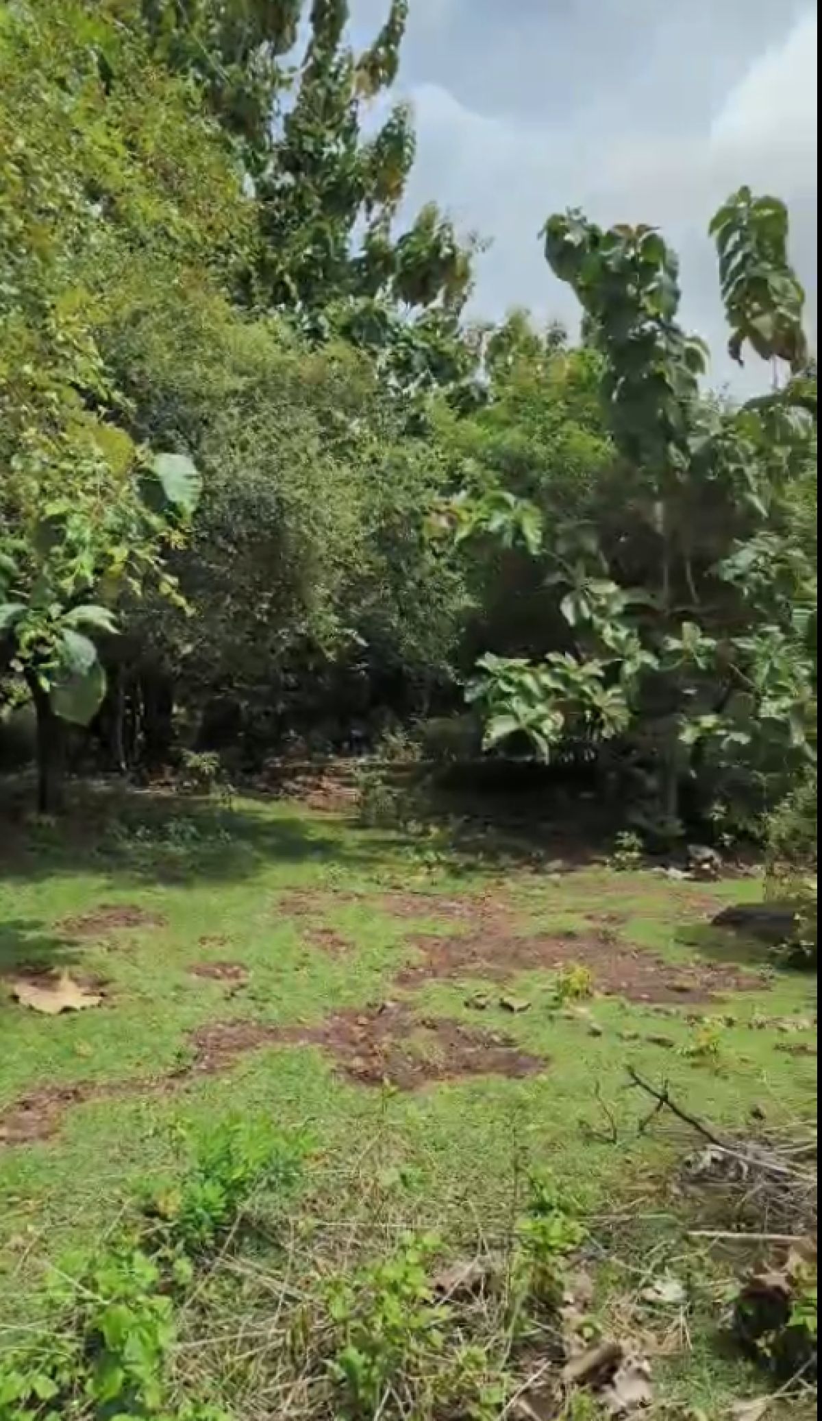 Premium Land in Gading Kencana, Jimbaran - Bali