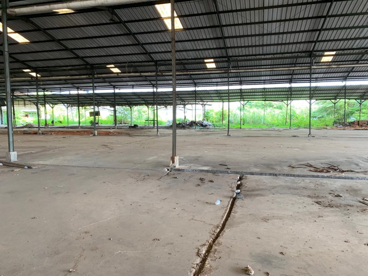 Dijual 2 Tanah Bersebelahan Di Jl. Raya Serang Cikupa-Tanggerang - Foto 3