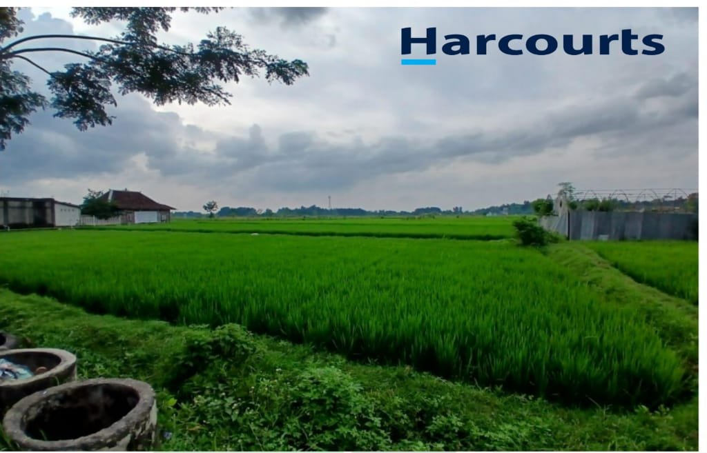 Dijual Tanah Zona Merah/Industri Strategis Dengan Kontur Tanah Datar di Kacangan Sumberlawang Sragen - Foto 3