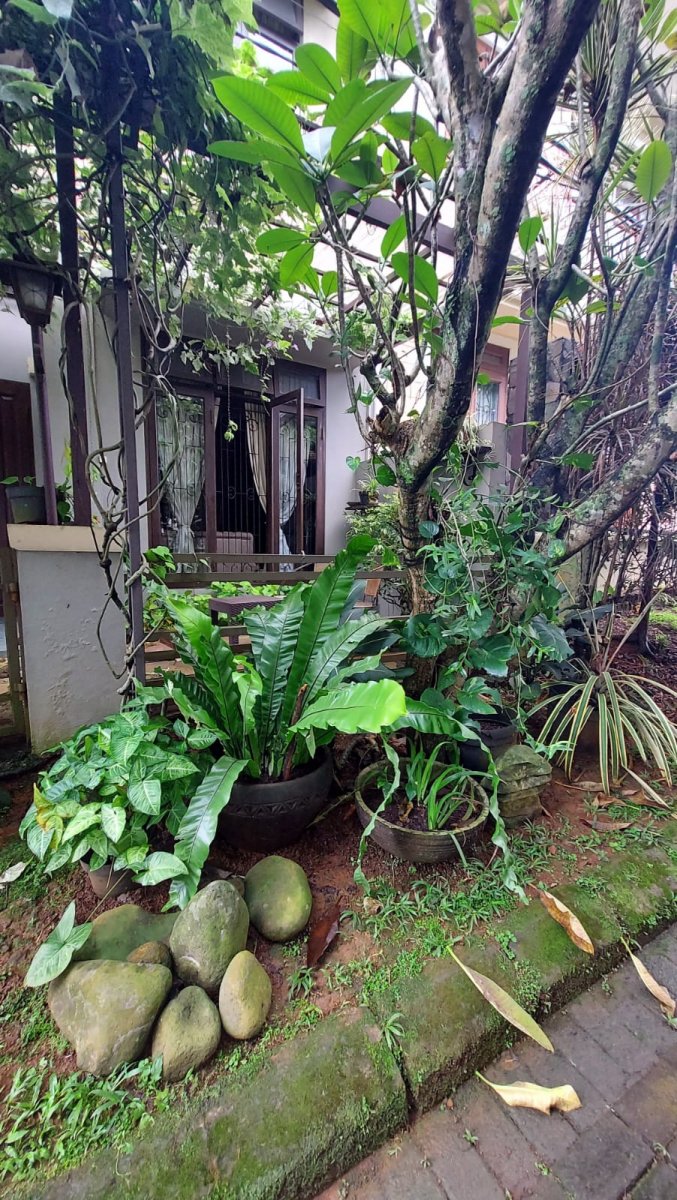 Disewakan Rumah Hunian Idaman di Bukit Bogor Raya – Lingkungan Elit & Sejuk - Foto 9