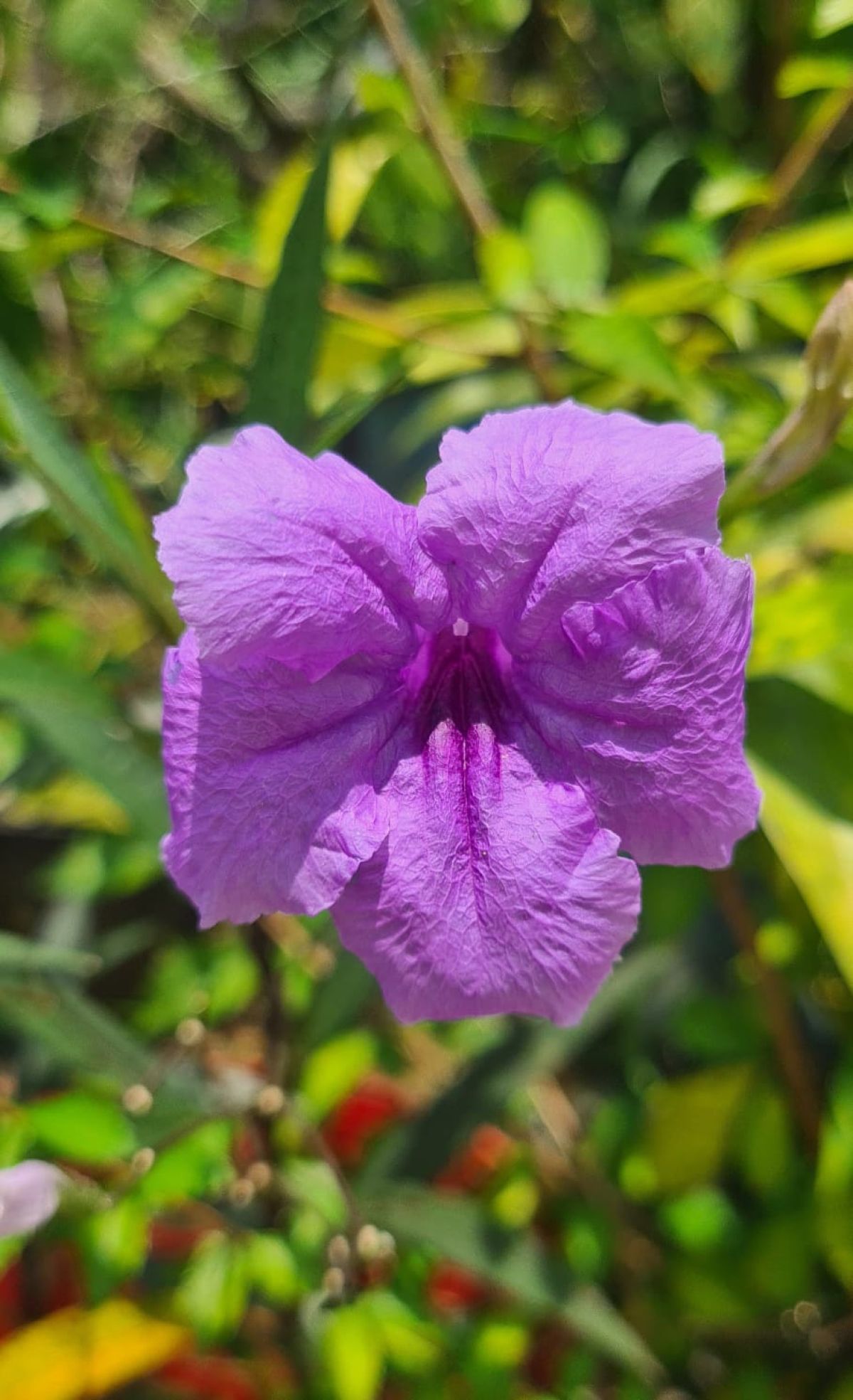 JUAL CEPAT, RUMAH HOEK AREA KOMERSIL, LT 138 M2,GRIYA BUKIT JAYA BLOK H9, GN PUTRI