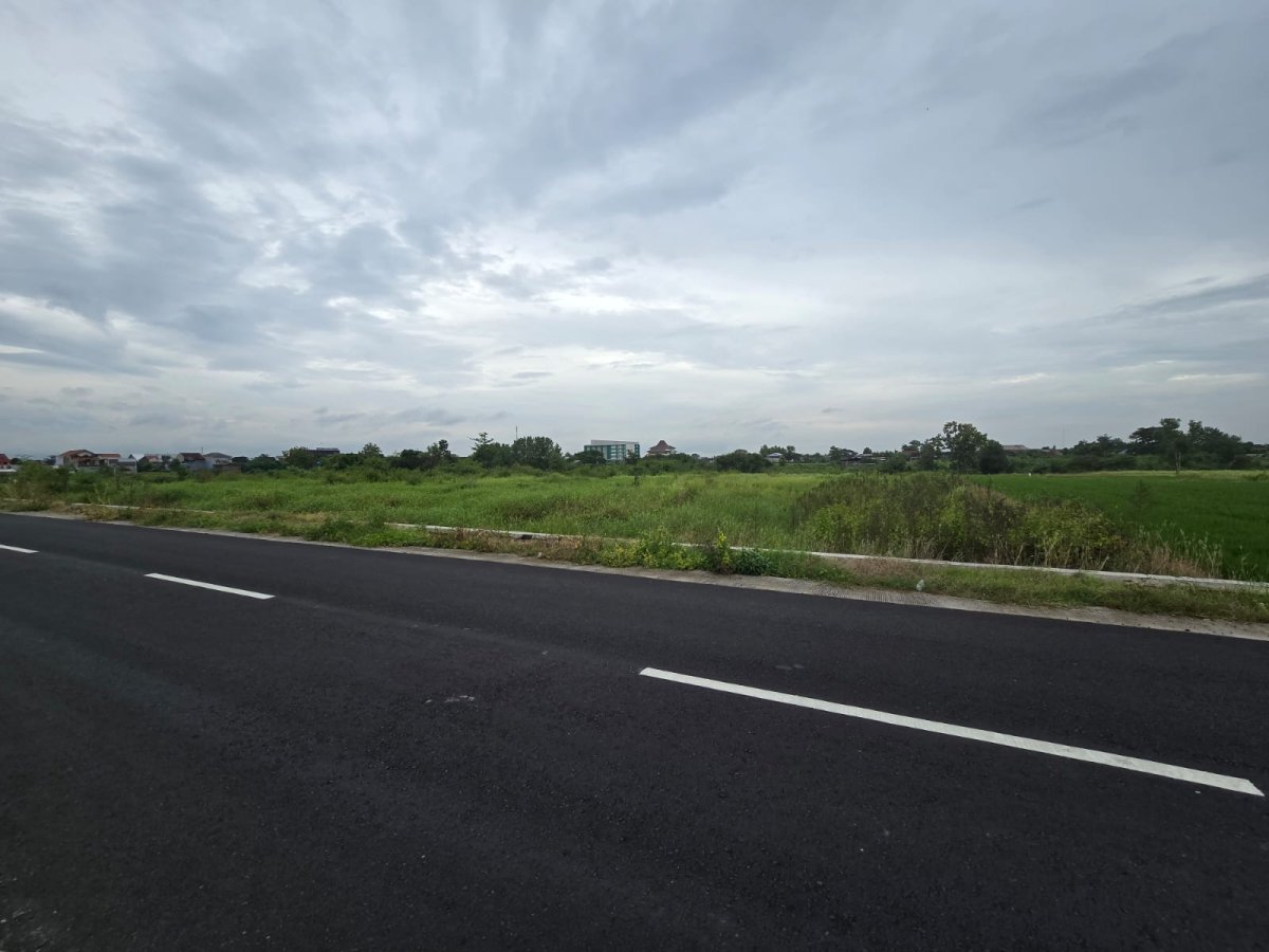 Tanah Strategis Dekat Jalan Raya Solo-Jogja. Cocok untuk Gudang atau Industri Ringan. - Foto 2