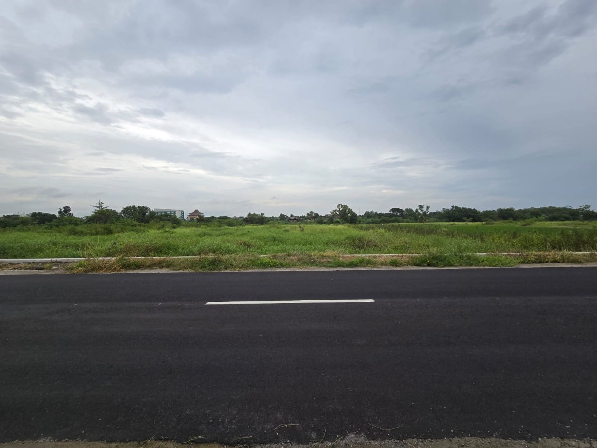 Tanah Strategis Dekat Jalan Raya Solo-Jogja. Cocok untuk Gudang atau Industri Ringan. - Foto 3