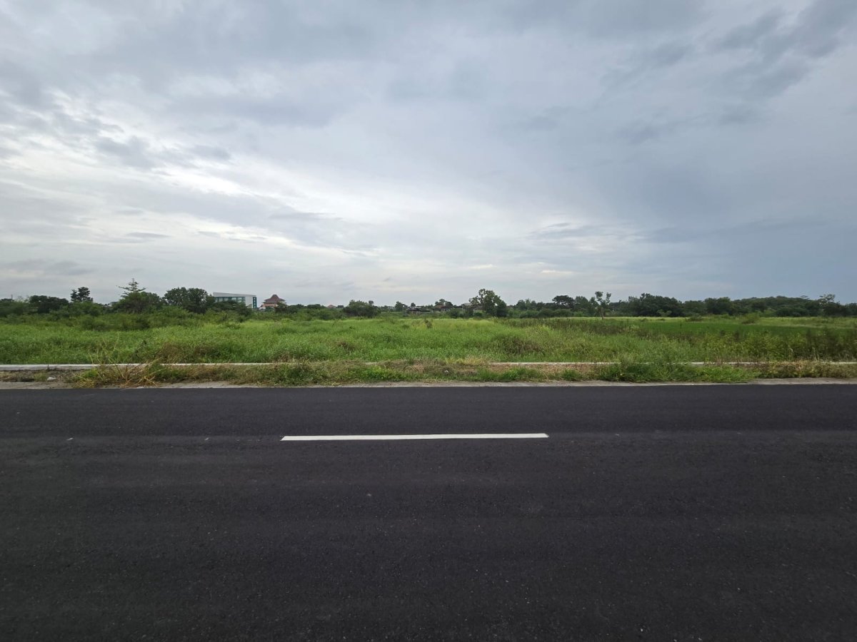 Tanah Strategis Dekat Jalan Raya Solo-Jogja. Cocok untuk Gudang atau Industri Ringan. - Foto 4