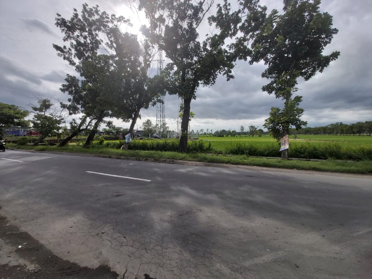 Tanah Sangat Strategis di Pinggir Jalan Bekonang Mojolaban Arah ke Palur, Cocok untuk Dibangun Ruko atau Area Bisnis. - Foto 2