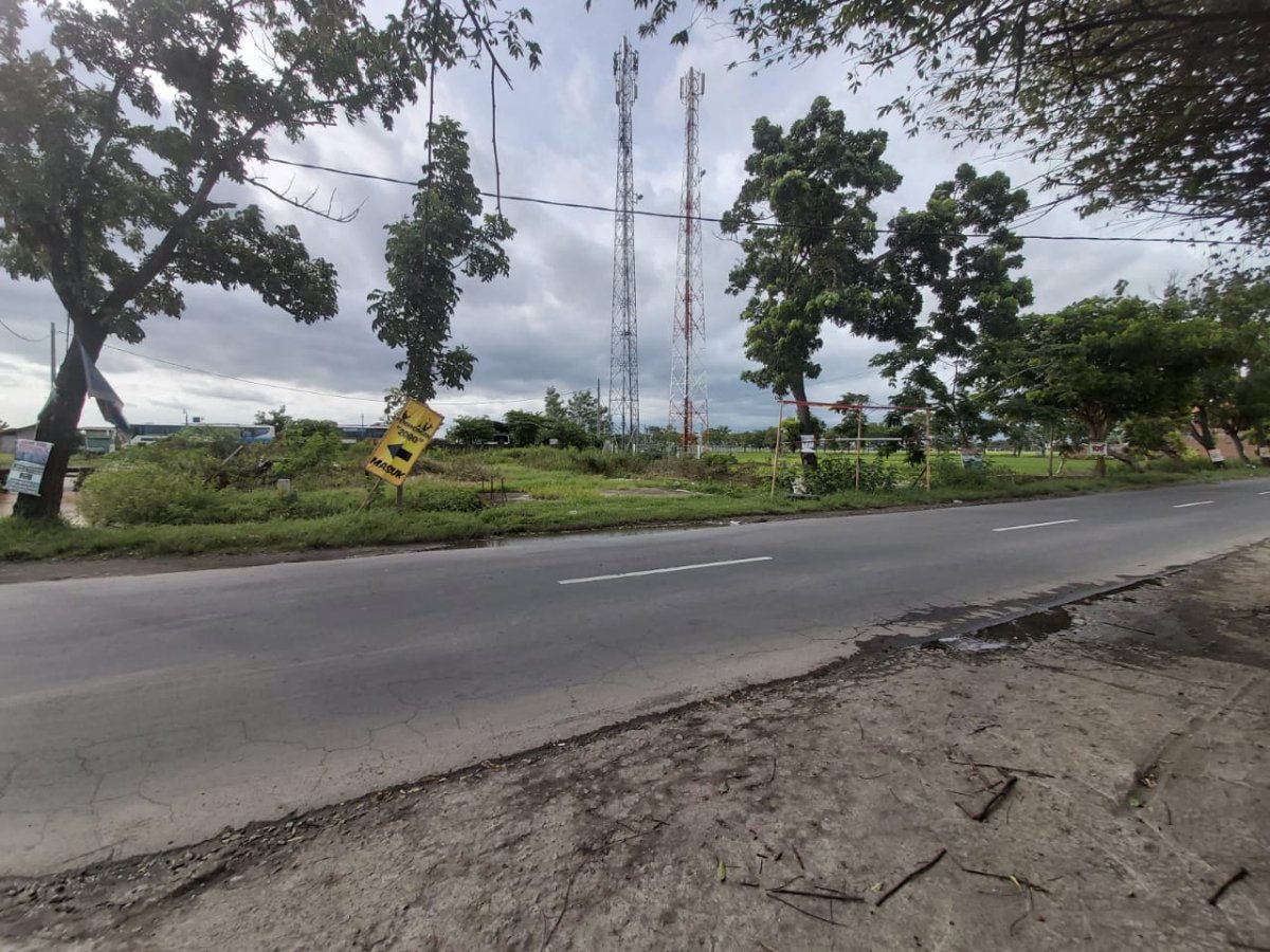 Tanah Sangat Strategis di Pinggir Jalan Bekonang Mojolaban Arah ke Palur, Cocok untuk Dibangun Ruko atau Area Bisnis. - Foto 4