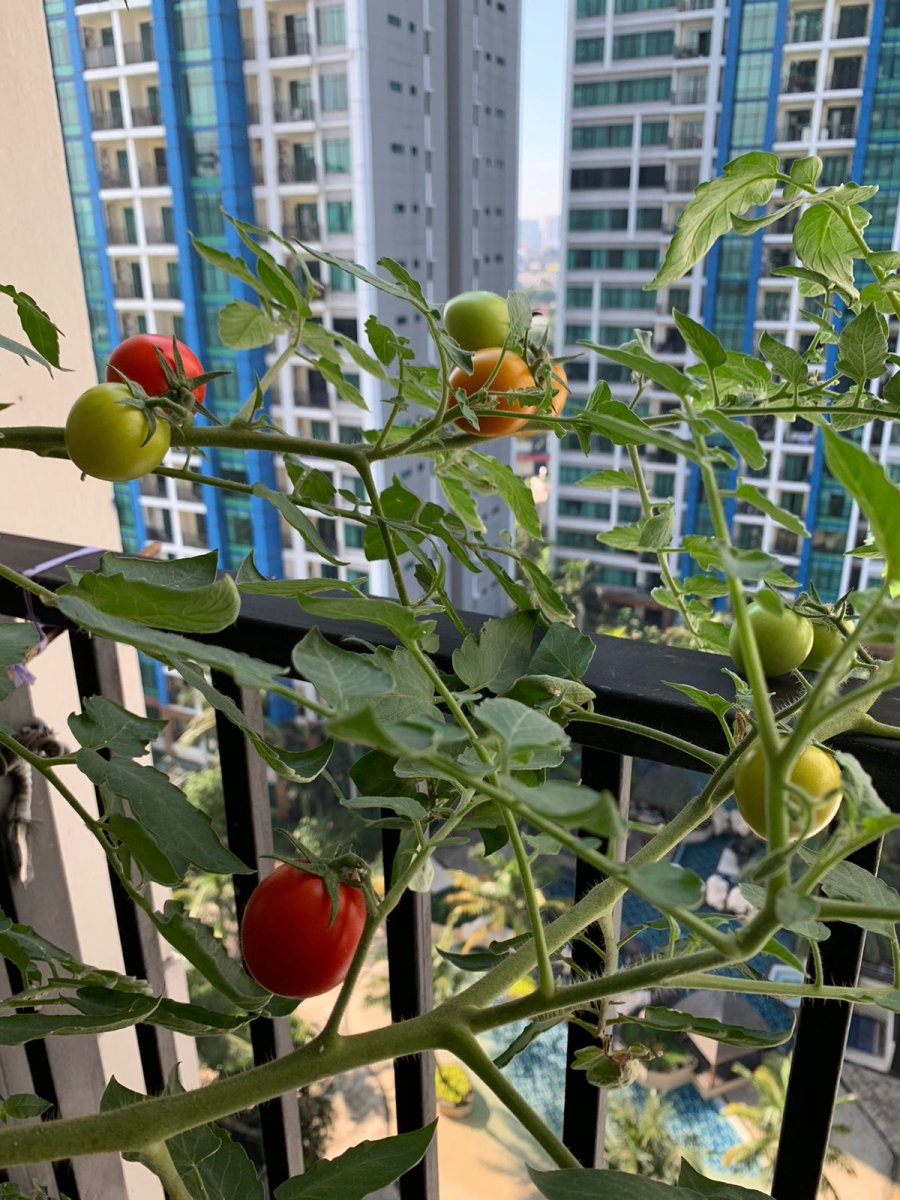 Harus Tejual Apartment Hamton Park - Foto 9