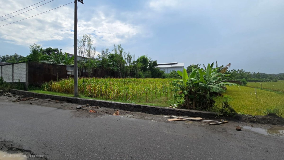 Tanah Murah Strategis Dekat Pintu Tol Karanganyar, Cocok Untuk Gudang atau Ruang Produksi - Foto 2