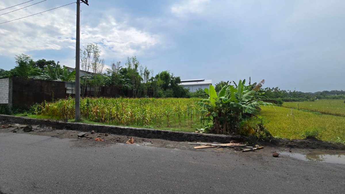 Tanah Murah Strategis Dekat Pintu Tol Karanganyar, Cocok Untuk Gudang atau Ruang Produksi - Foto 5