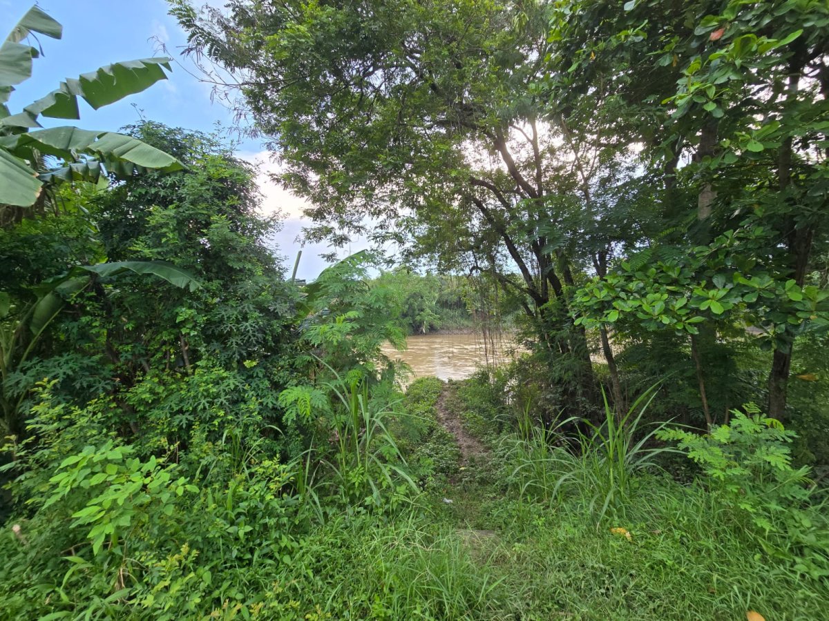 Tanah Murah Dekat Sungai Bengawan Solo, Cocok Untuk Rumah Tinggal, Perumahan, Ruang Usaha - Foto 2