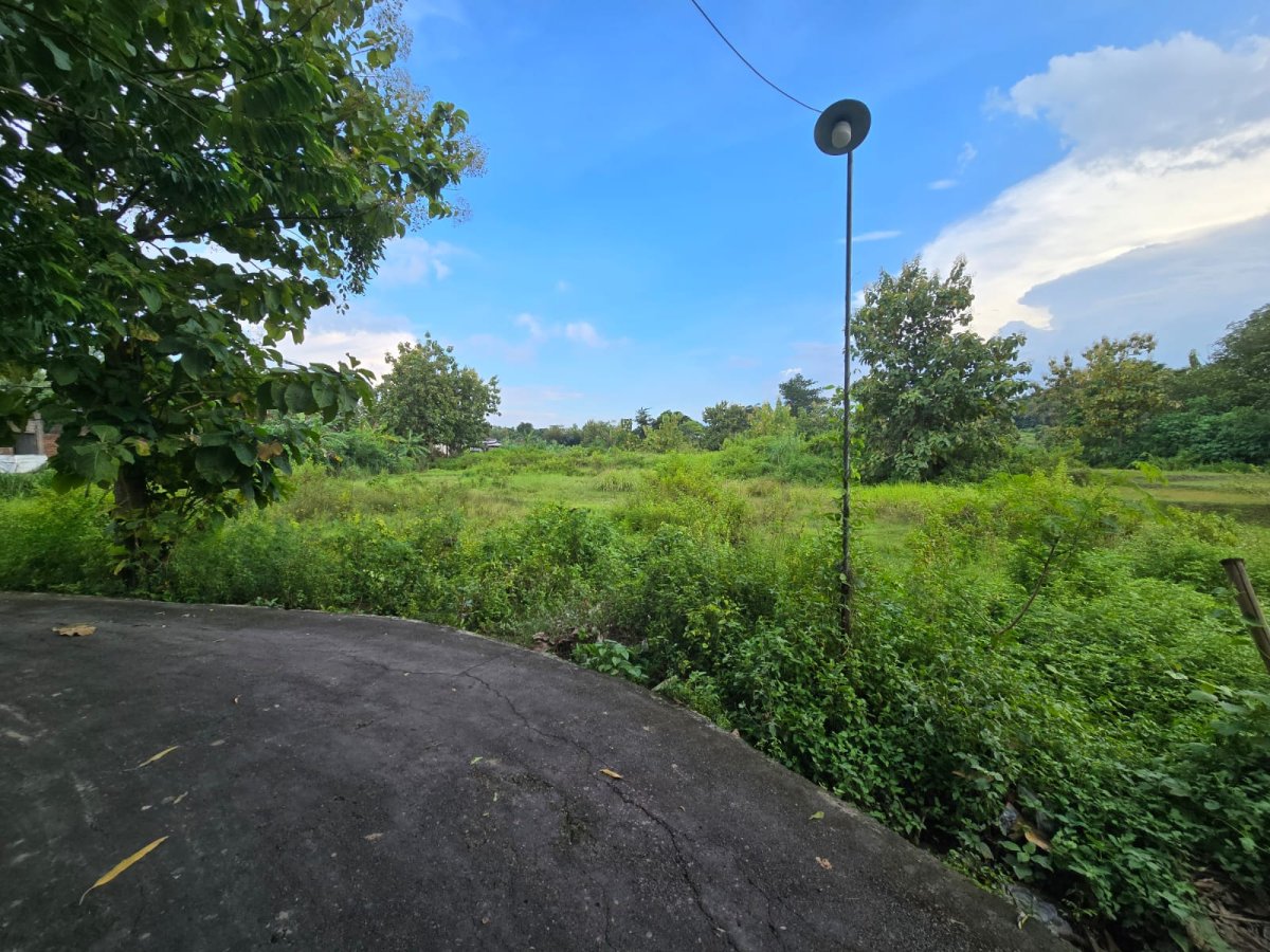 Tanah Murah Dekat Sungai Bengawan Solo, Cocok Untuk Rumah Tinggal, Perumahan, Ruang Usaha - Foto 3