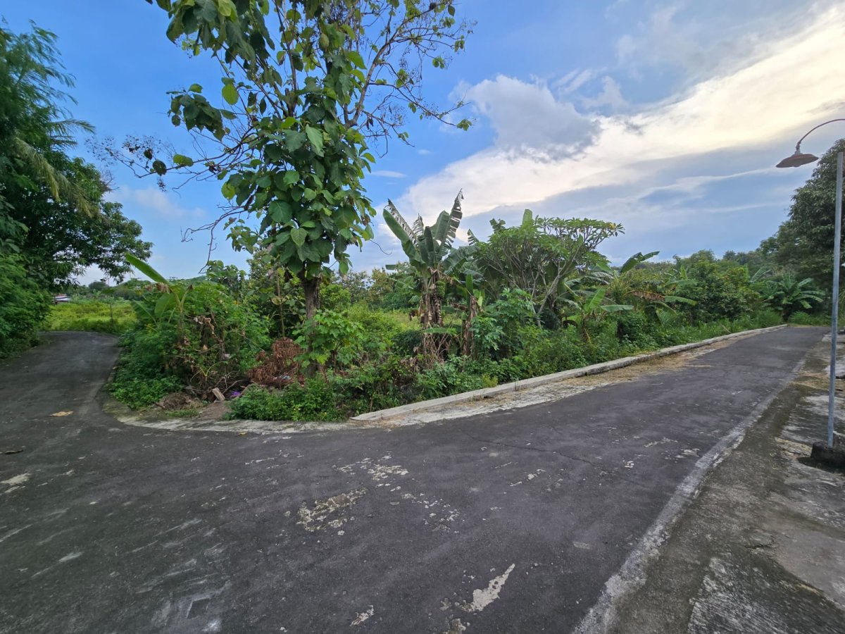 Tanah Murah Dekat Sungai Bengawan Solo, Cocok Untuk Rumah Tinggal, Perumahan, Ruang Usaha - Foto 4