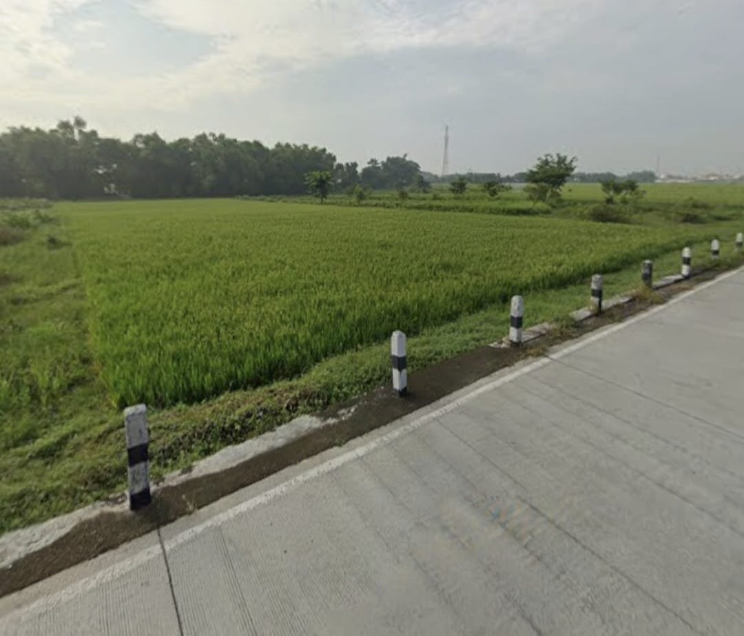 Tanah Super Strategis Dekat Pintu Tol Sragen, Cocok Untuk Gudang dan Industri Ringan - Foto 5