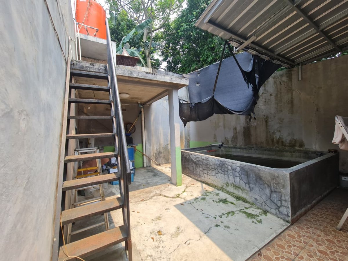 Disewakan Rumah Luas 135 m² di Perumahan Pakujaya Permai, dekat Alam Sutera - Foto 15