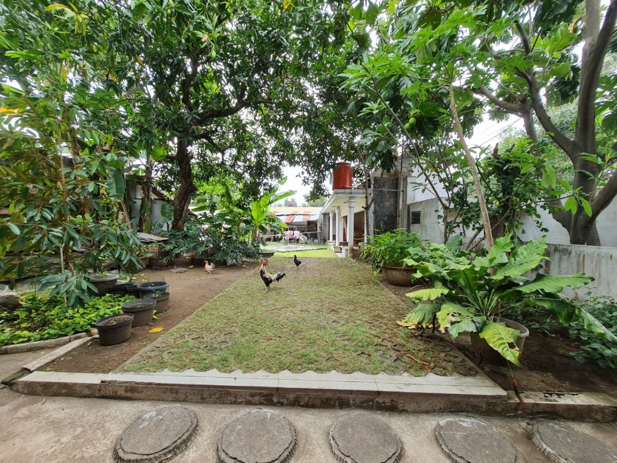 Tanah Strategis Dekat Jalan Bhayangkara Solo, Bonus Kolam Renang