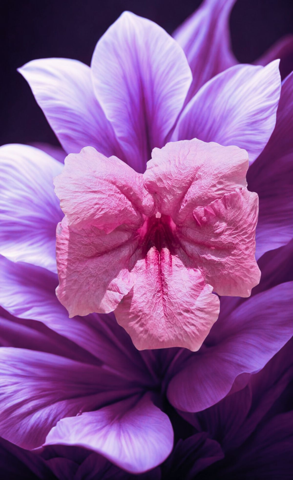 JUAL CEPAT, RUMAH STRATEGIS, LT 198 M2, JL CEMPAKA PUTIH BARAT XIX, JAKARTA PUSAT