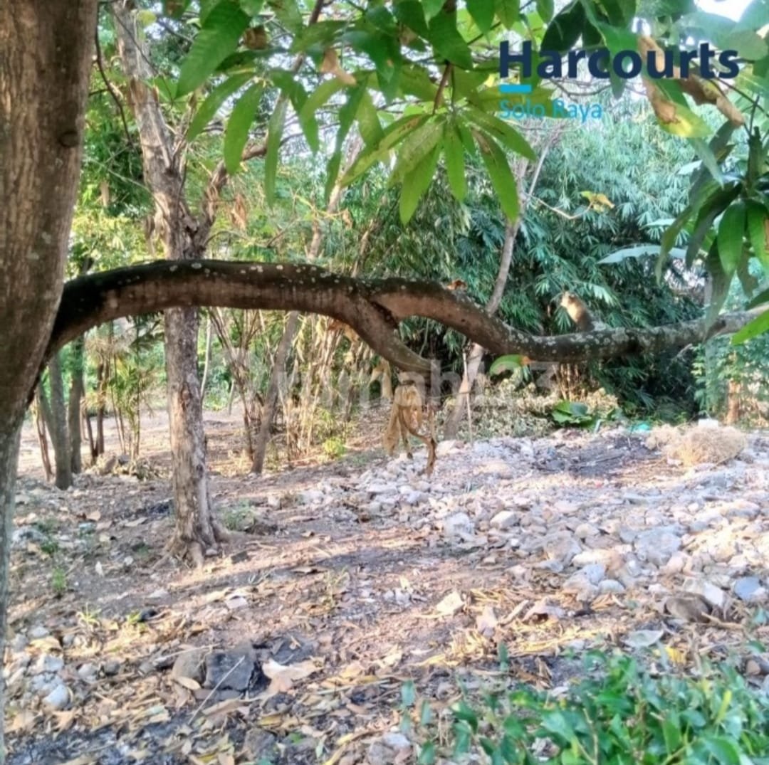 Tanah Strategis Pinggir Jalan Raya Utama Di Jebres, Solo - Foto 2