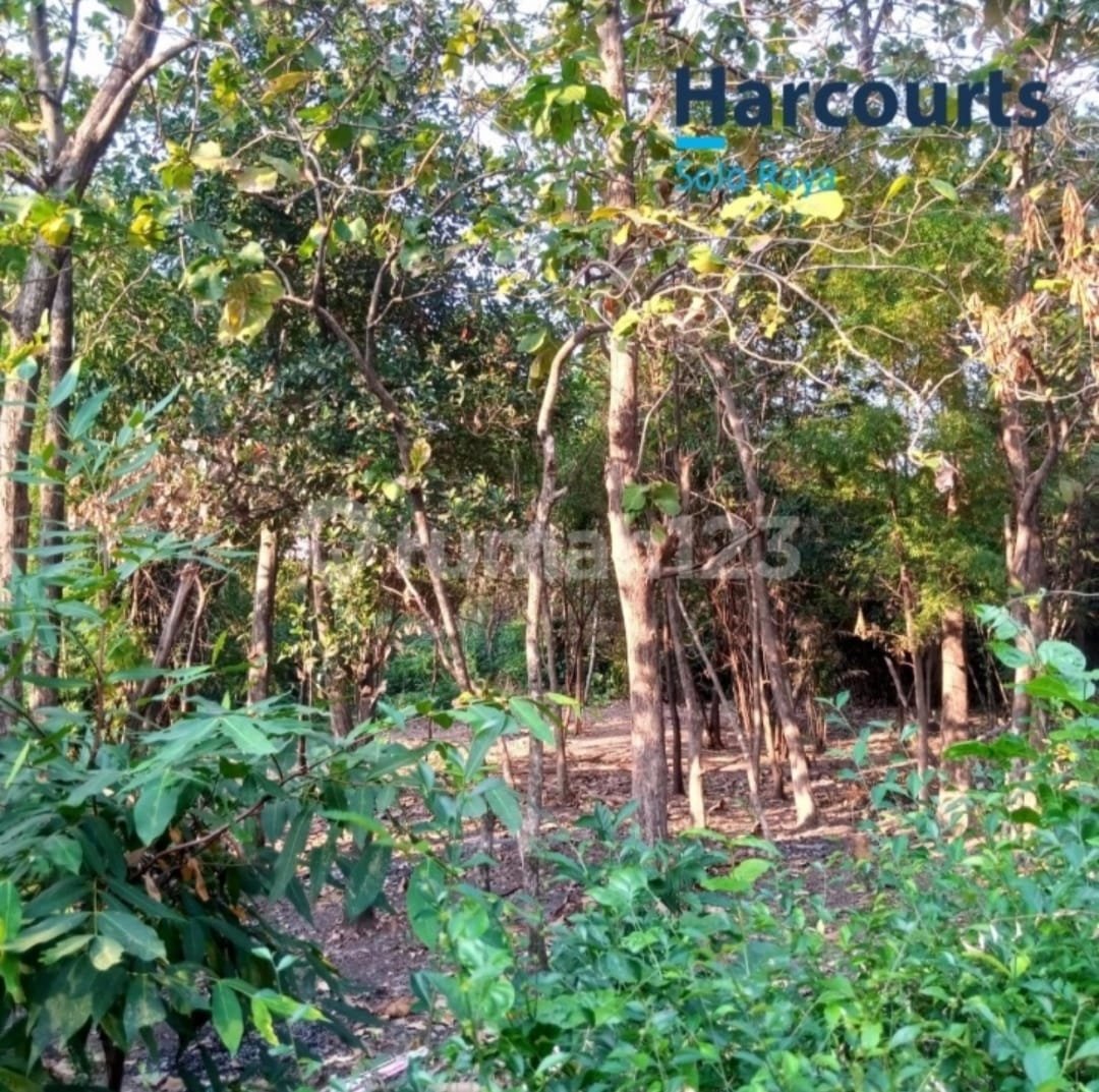 Tanah Strategis Pinggir Jalan Raya Utama Di Jebres, Solo - Foto 4