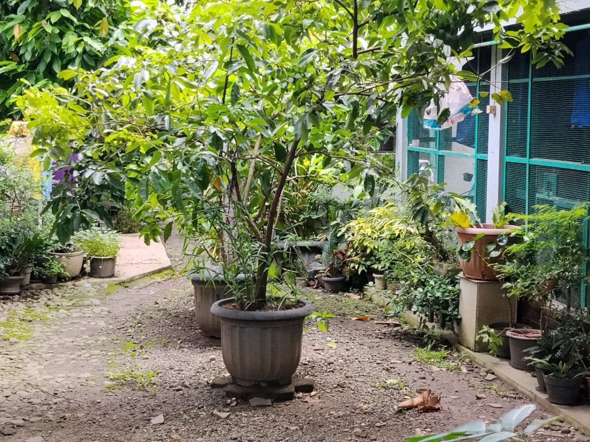 Tanah Bonus Bangunan Ruang Kantor & Gudang Siap Pakai di Manahan, Solo - Foto 4