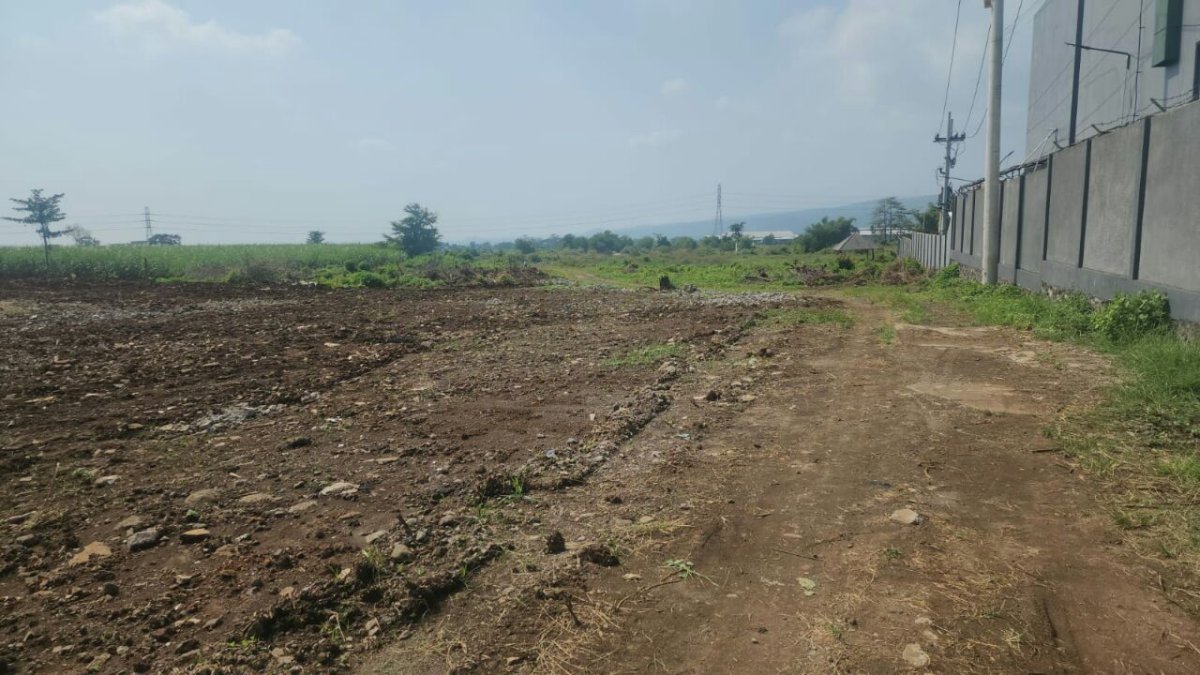 Jual Lahan Area Industri Ds. Martopuro Kab. Pasuruan Jawa Timur - Foto 3