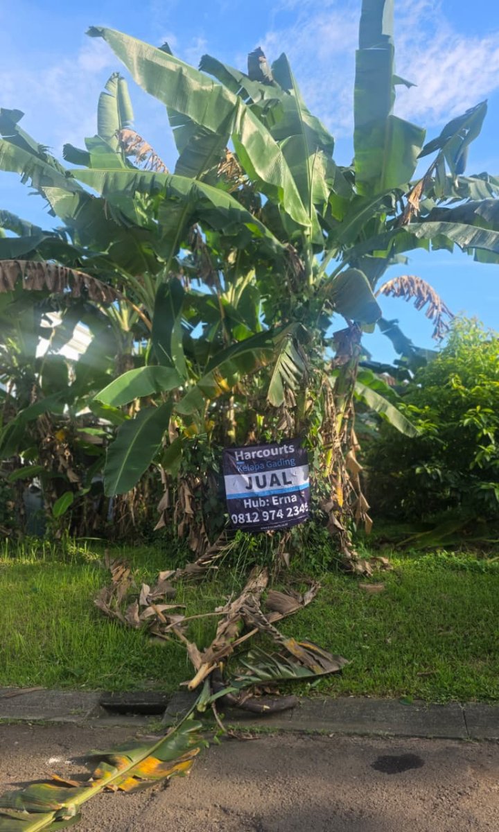 Dijual Kavling Di Taman Beverly Golf Lippo Karawaci, Tanggerang