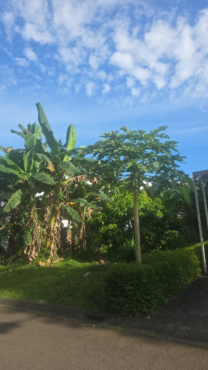 Dijual Kavling Di Taman Beverly Golf Lippo Karawaci, Tanggerang - Foto 2