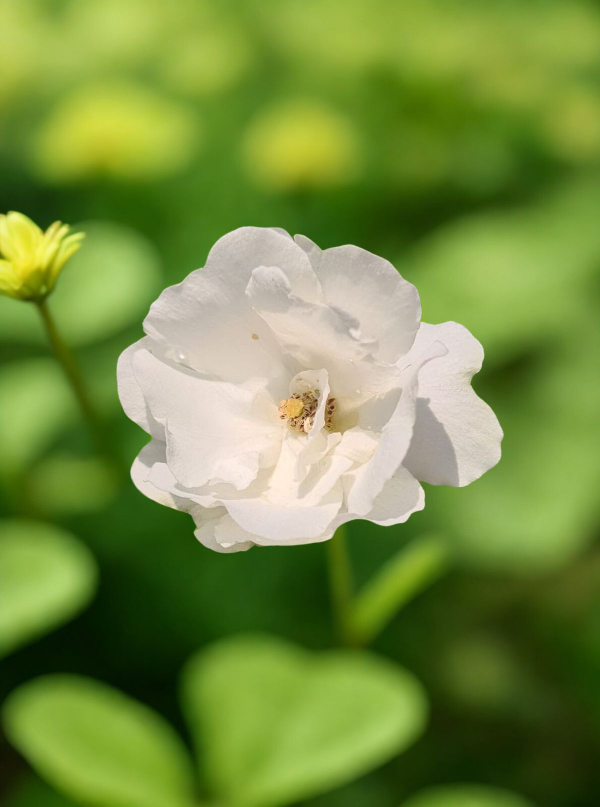 DISEWAKAN MURAH, APARTEMEN MTH SQUARE, 2 BED ROOM, FULLY FURNISHED, LOKASI STRATEGIS, JAKARTA TIMUR